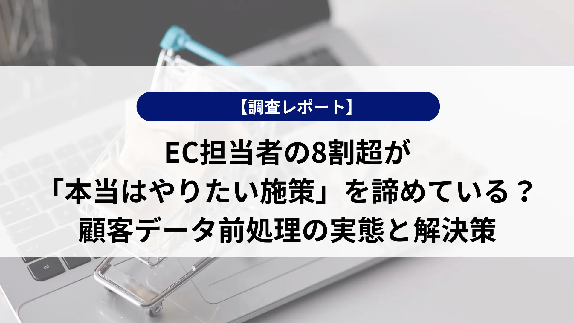 EC担当者の8割超が「本当はやりたい施策」を諦めている？顧客データ前処理の実態と解決策【1,006名調査】
