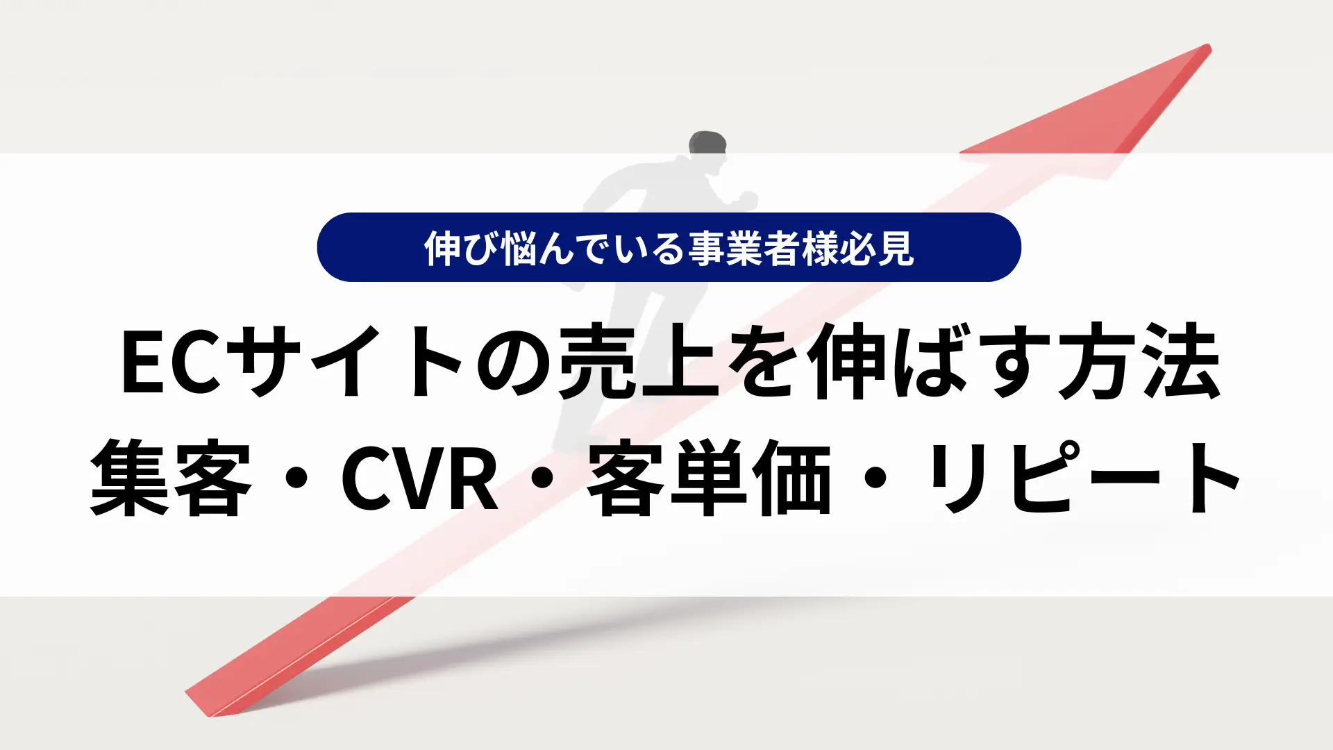 ECサイトの売上を伸ばす方法|集客・CVR・客単価・リピートの改善施策